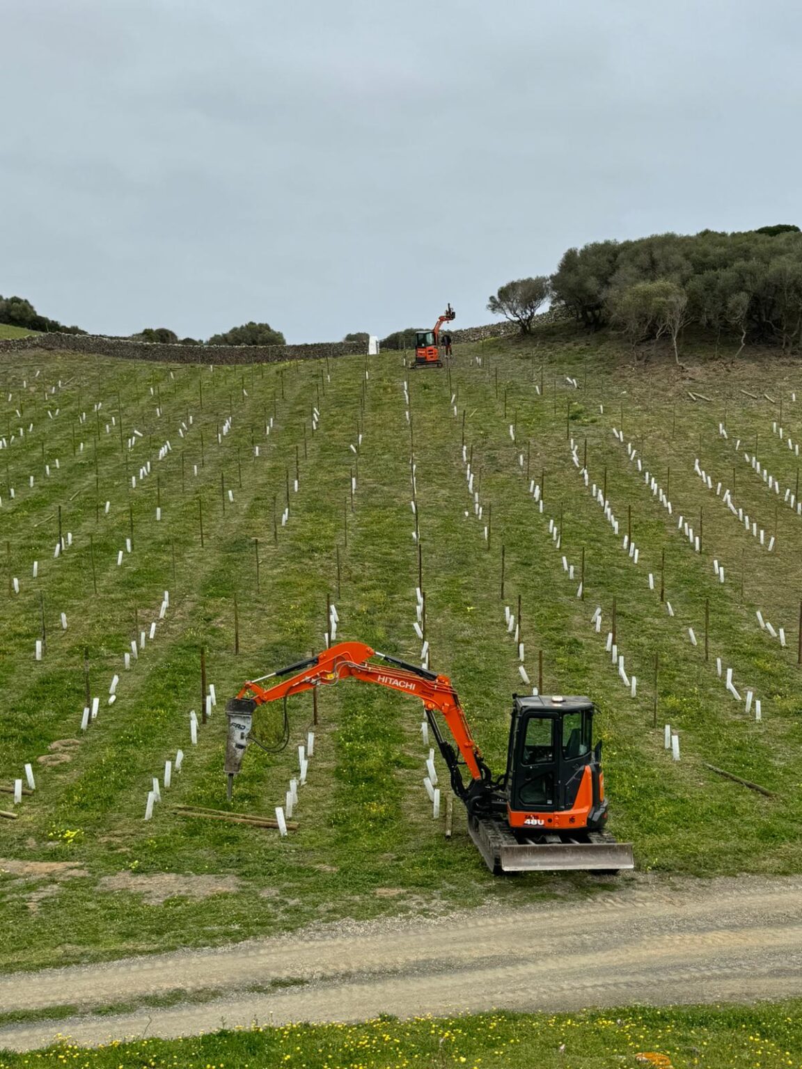 Lorenzo Excavaciones: Limpieza de fincas y terrenos rústicos